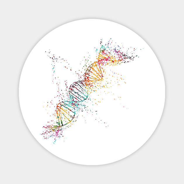 DNA molecule Magnet by erzebeth